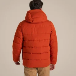 Outlet Men's Aaron Downlike Hooded Jacket | Jungle|Insulated Jackets